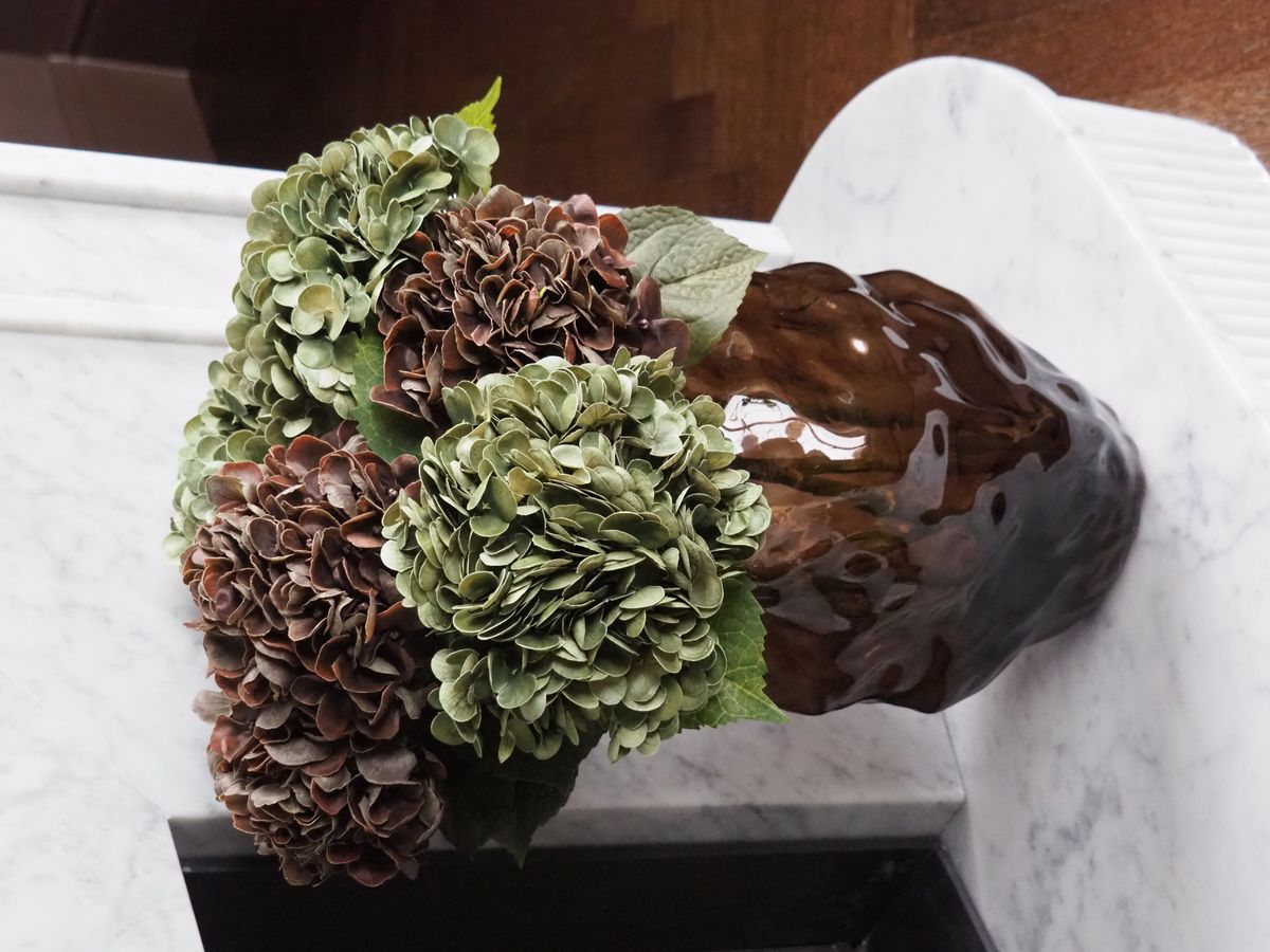 Hortensia Dusty 