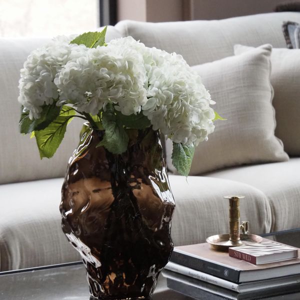 Hovedbilde Hortensia Hvit 